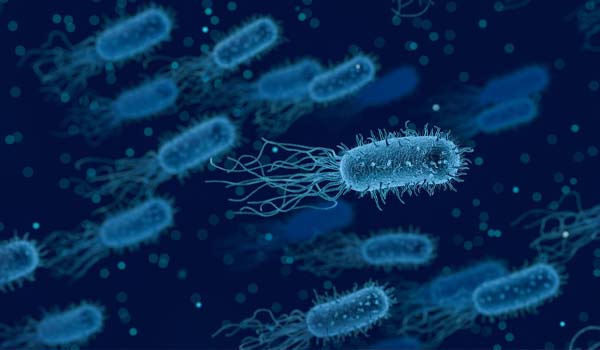 Bakterie číhají v každé domácnosti. Víte, jak se jich zbavit?