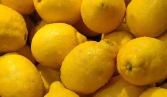 Citron – univerzální pomocník: účinný, levný a šetrný úklid