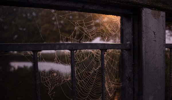 Jak na pavučiny: praktický návod pro čistý domov
