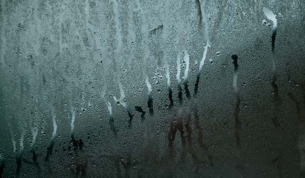 Jak na vlhkost doma: praktický průvodce pro zdravé bydlení