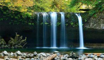 Jaké úklidové prostředky používáme?