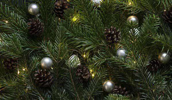 Péče o vánoční stromek: jak ho udržet krásný co nejdéle
